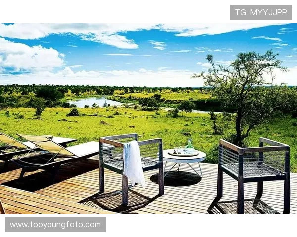 唤醒内心深处的“森林原人”：在都市丛林中寻觅失落的野性与自由