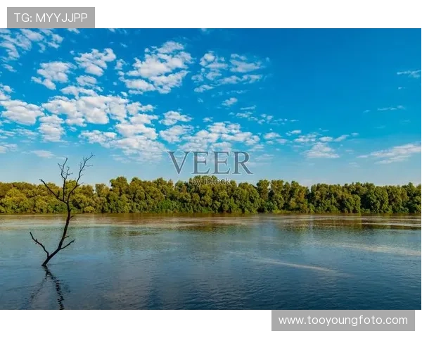 多瑙河的低语：三角洲的警报，一场关于未来与生命的沉思
