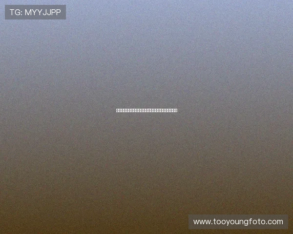 《盾牌》第四季：都市丛林的生存法则与人性的冷峻审视