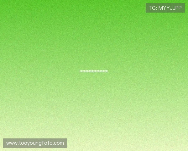 摔角妖精宫殿：颠覆想象的奇幻格斗盛宴